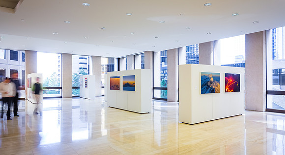 Allen Center Art Installation Nov 2013