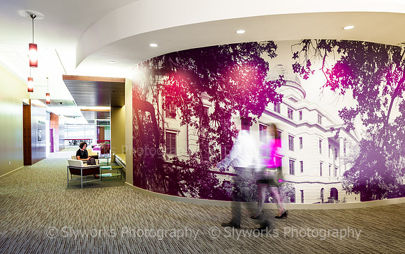 Texas A&M Mays Business School