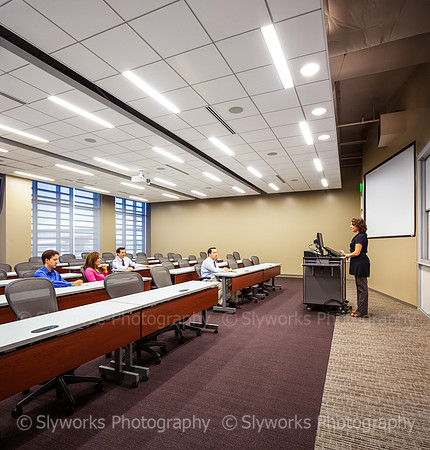 Texas A&M Mays Business School