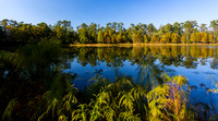 Deer Lake from East Side