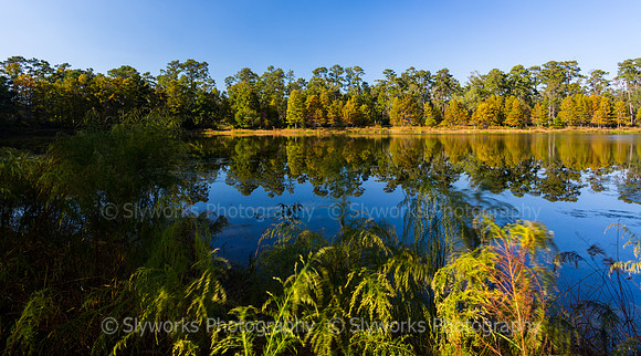 Deer Lake from East Side