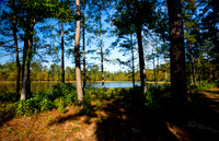 Deer Lake from East Side