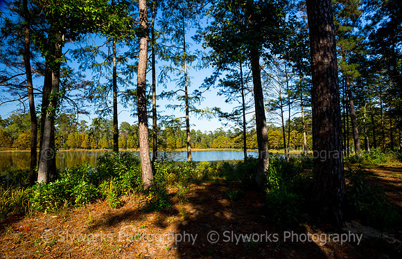 Deer Lake from East Side