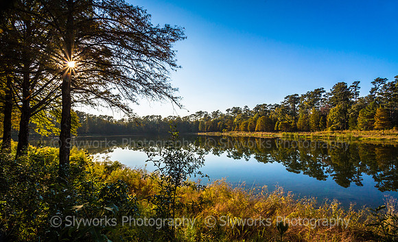 Deer Lake - south side