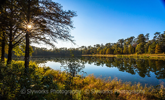 Deer Lake - south side