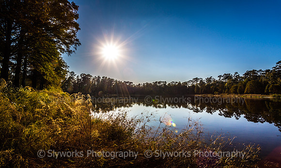 Deer Lake