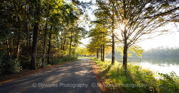 The drive at Deer Lake