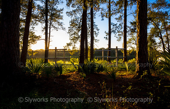 Grand Lake Canoe park