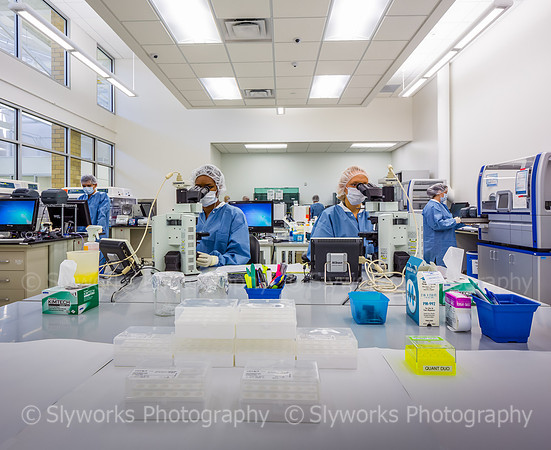 Harris County Forensic Genetics Laboratory