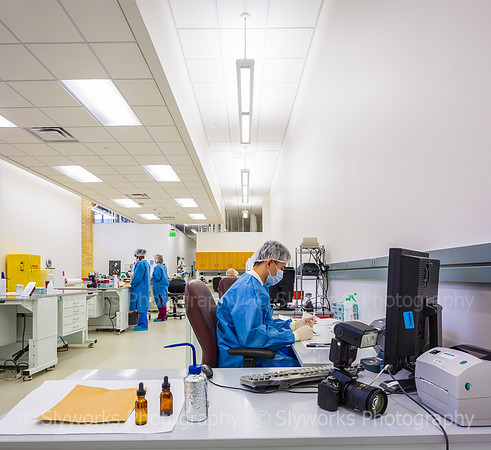 Harris County Forensic Genetics Laboratory