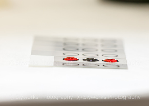 Harris County Forensic Genetics Laboratory