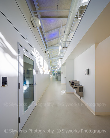 Harris County Forensic Genetics Laboratory