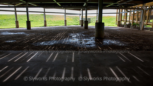 Sylvan Beach Pavilion Scouting-18