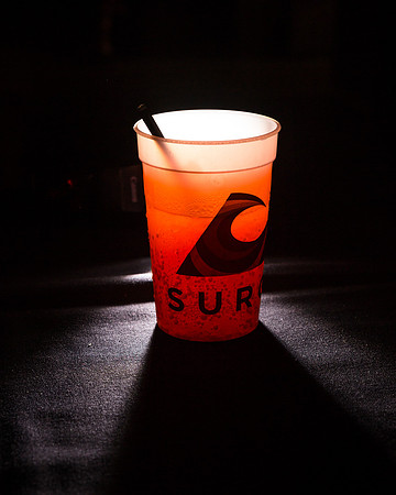 Surge Day 2013