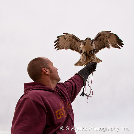 The Fellowship of the Falconers