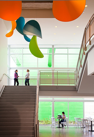 The Houston Food Bank