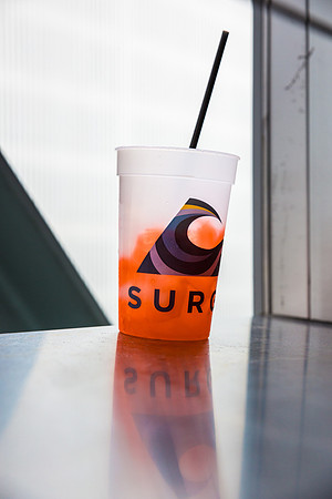 Surge Day 2013