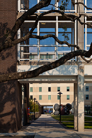 Calhoun Lofts - University of Houston