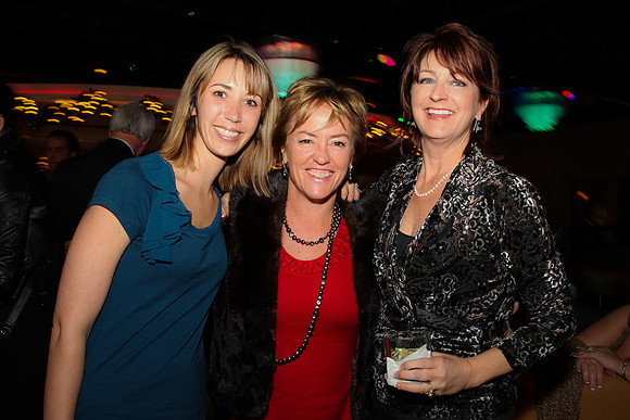 IIDA Houston Christmas 2009