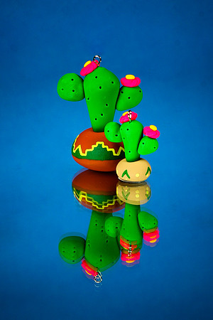 Christmas Tree of the Southwest