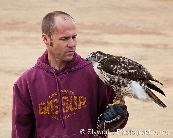 The Fellowship of the Falconers