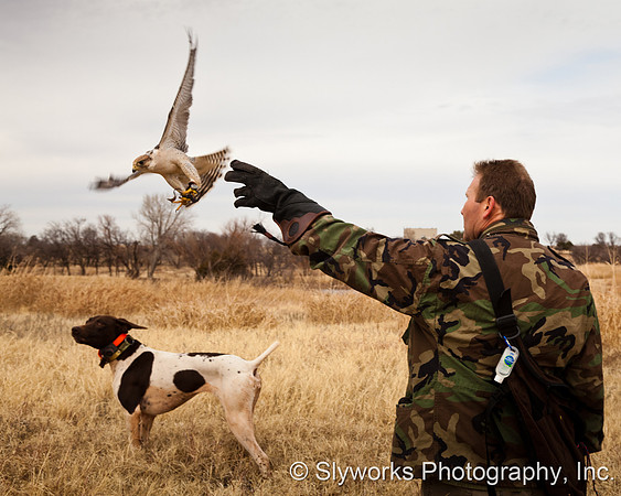 The Fellowship of the Falconers