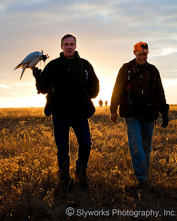 The Fellowship of the Falconers
