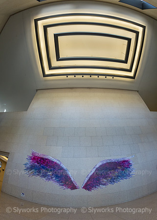 Global Angel Wings Project - Houston