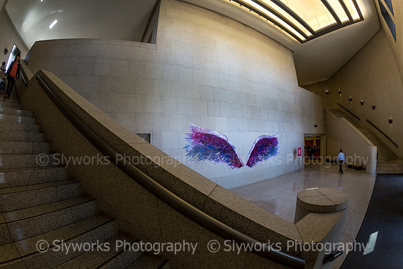 Global Angel Wings Project - Houston