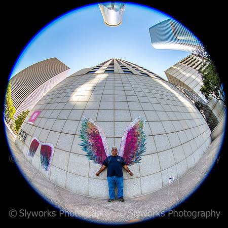 Global Angel Wings Project - Houston
