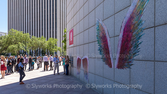 Global Angel Wings Project - Houston