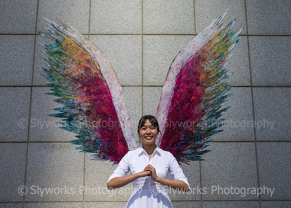 Global Angel Wings Project - Houston