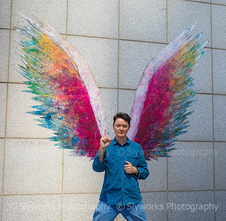 Global Angel Wings Project - Houston