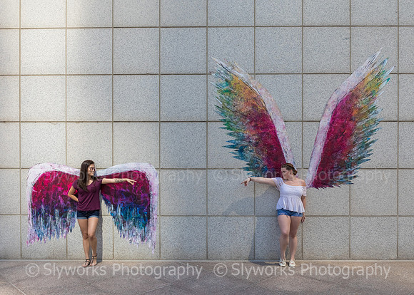 Global Angel Wings Project - Houston