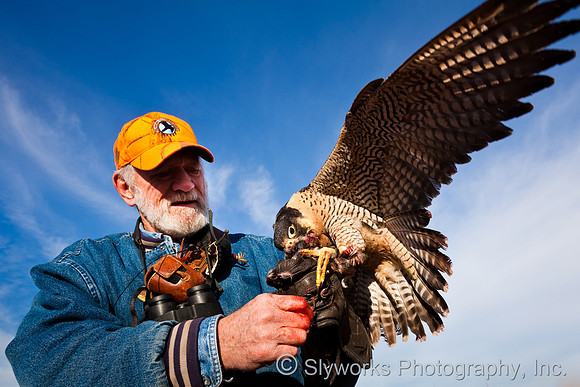 The Fellowship of the Falconers