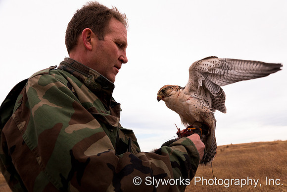 The Fellowship of the Falconers
