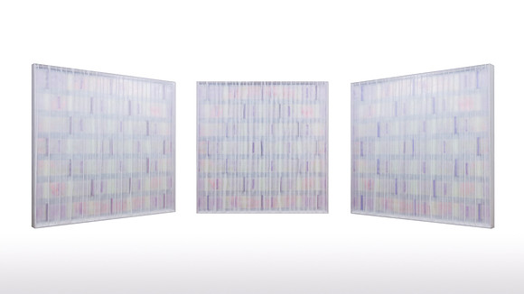 Purple Blue-0001