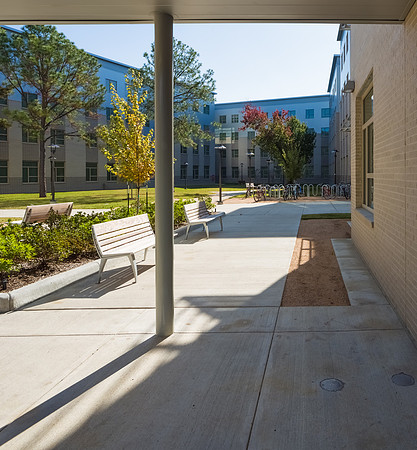 Cougar Place