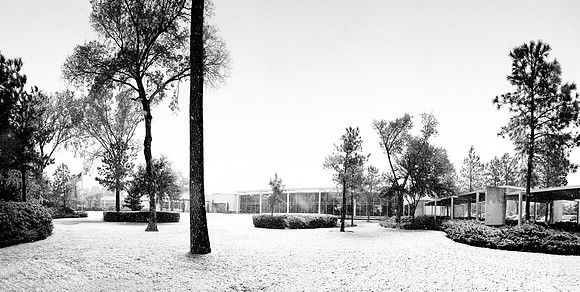 Houston First Snow 2009