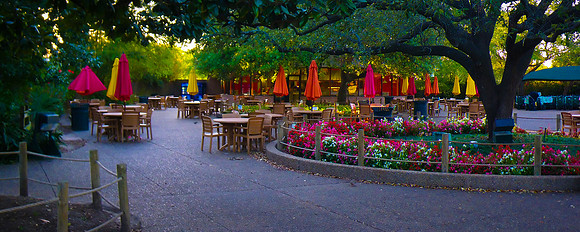 Zoo at dusk