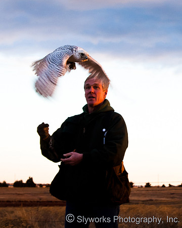 The Fellowship of the Falconers