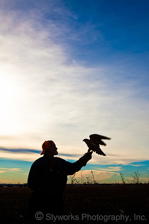 The Fellowship of the Falconers