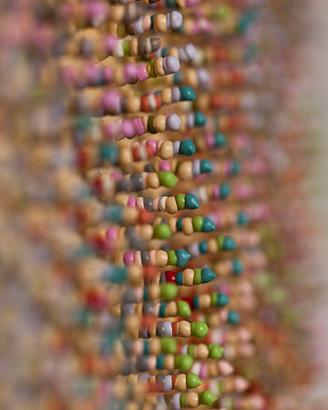 11.1 detail