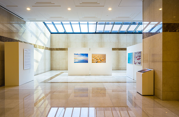 Allen Center Art Installation Nov 2013