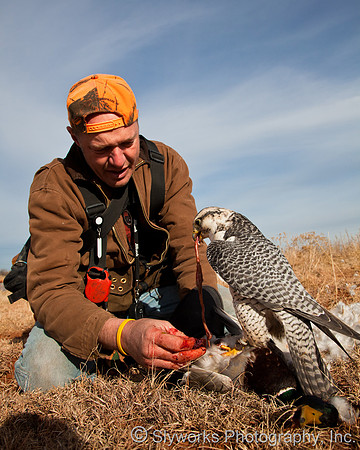 The Fellowship of the Falconers