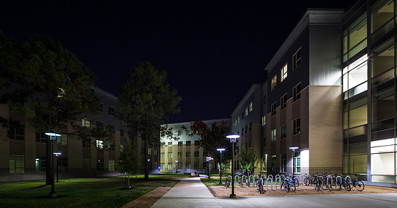 Cougar Place