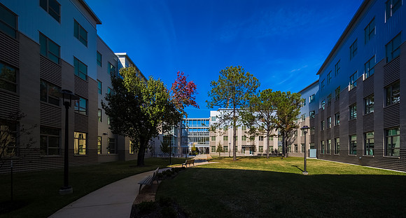 Cougar Place