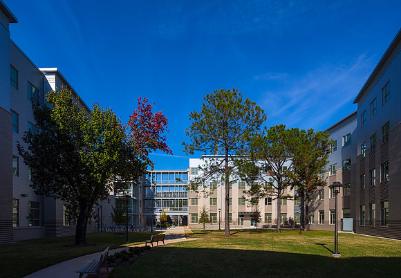 Cougar Place