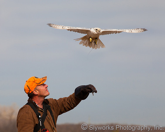 The Fellowship of the Falconers