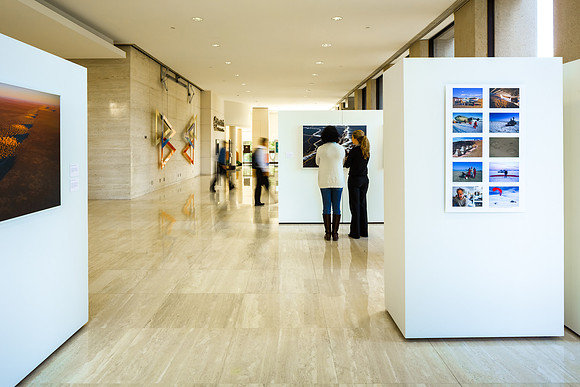 Allen Center Art Installation Nov 2013